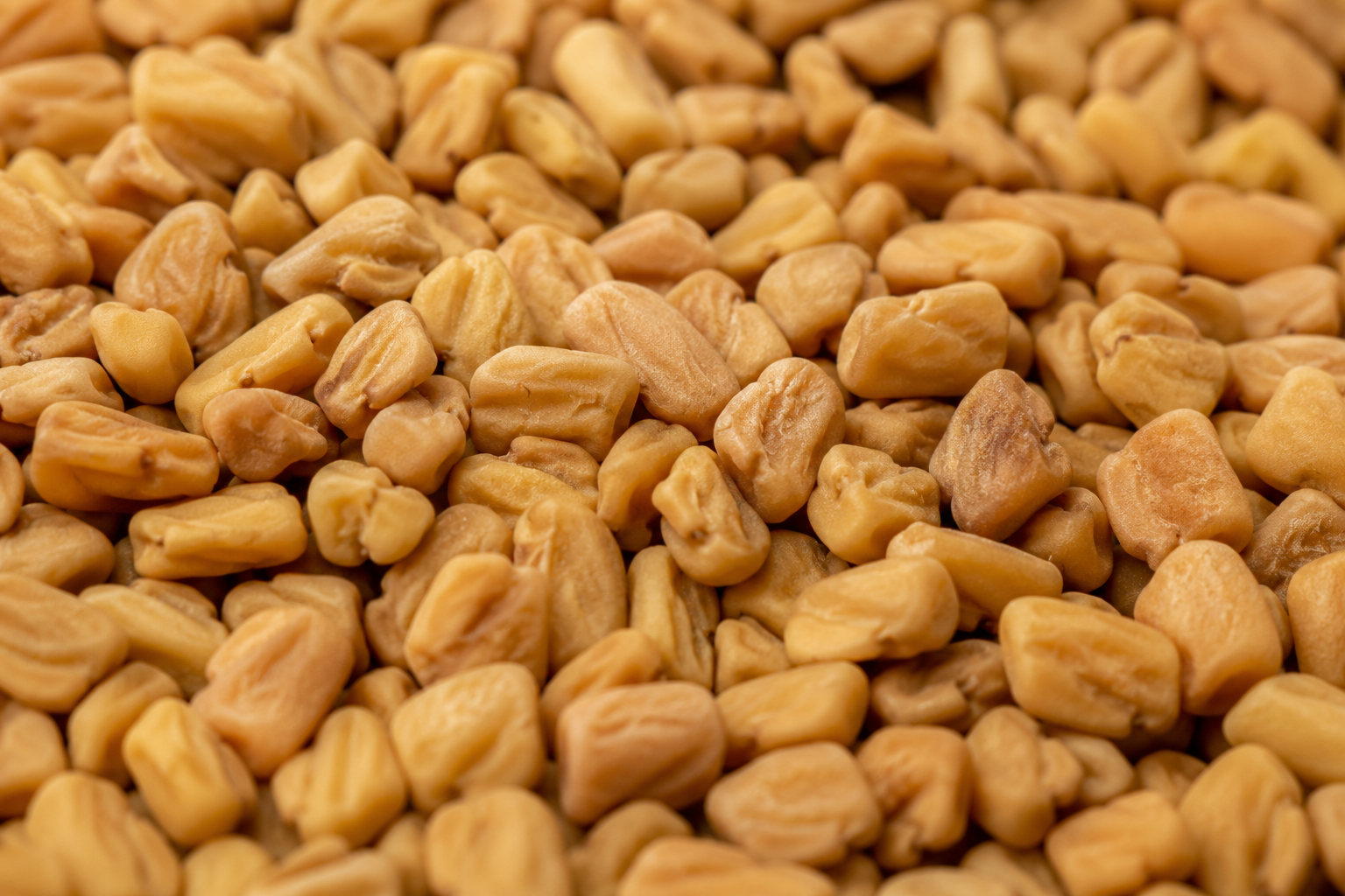 Close-up of dried fenugreek seeds for vaginal dryness