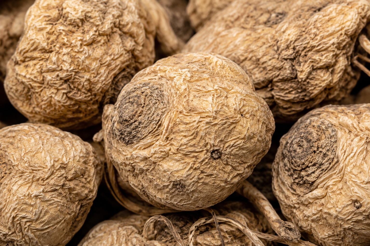 women vaginal dryness supplement maca root