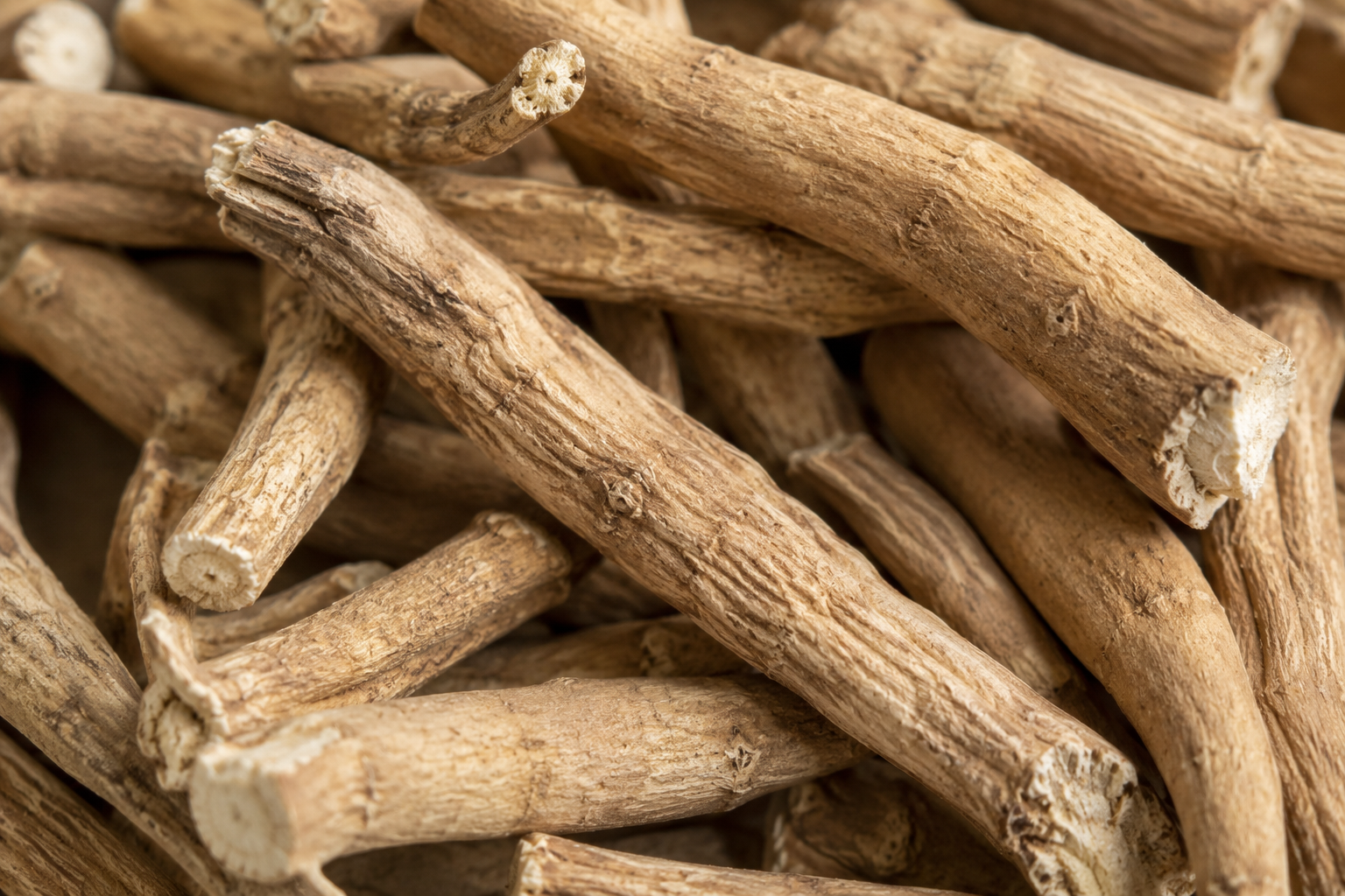 Close-up of dried roots or herbs with a brown color.