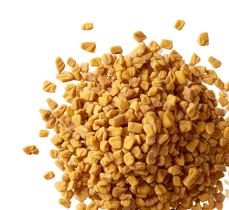 Fenugreek <br> Seed Extract