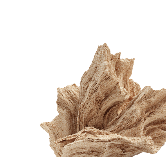 Slippery Elm <br> Bark