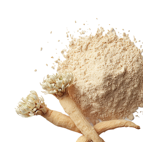 Ashwagandha & <br> Maca Root