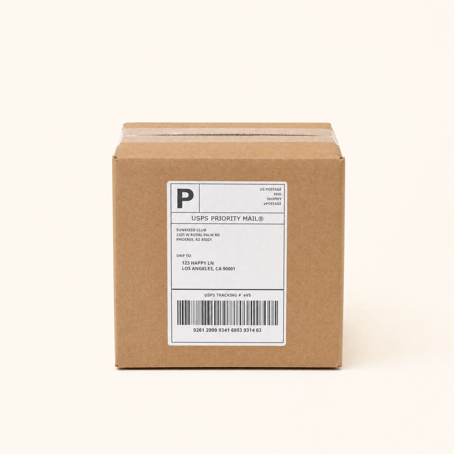 A brown cardboard box with a white USPS Priority Mail shipping label on the front, photographed against a plain off-white background.